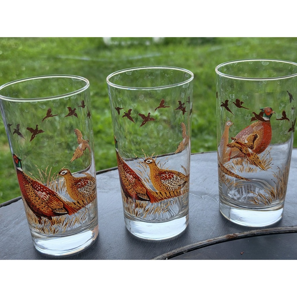 Vintage Libbey Pheasant Glass Set Of 4 Hunting Wildflife Rustic Decor